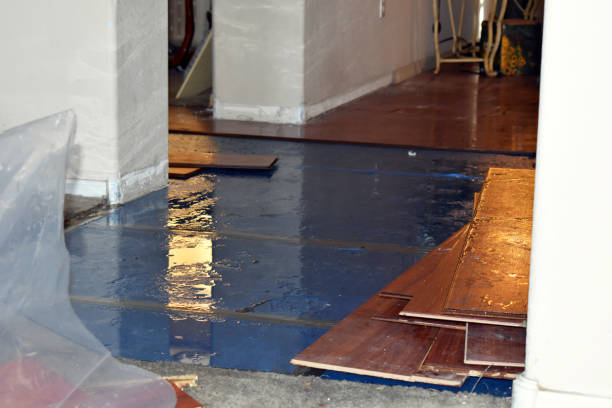 Professional Basement Water Removal technician working in Lind, WA